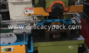 Servo feeding system for automatic fancy can making
